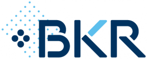 BKR-logo geld lenen online 431x173